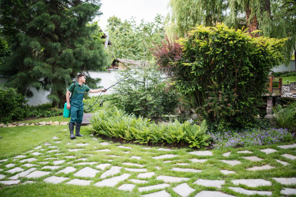 Professional Pest Control in Fleetwood, PA