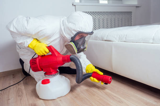 Best Local Pest Control Services  in Fleetwood, PA