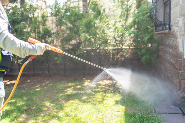 Best Pest Removal Services  in Fleetwood, PA