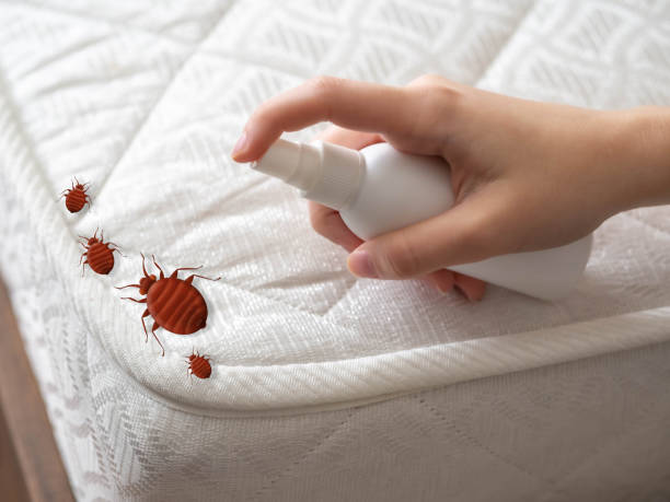 Best Commercial Pest Control Services  in Fleetwood, PA