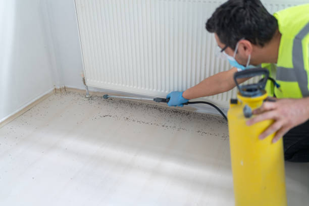 Wasp Removal Services in Fleetwood, PA